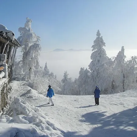 Affittacamere Pension Vseruby