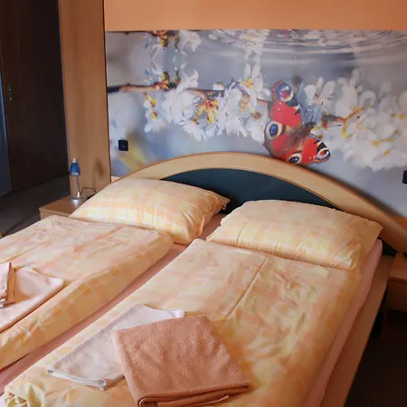 Pension Vseruby 3*